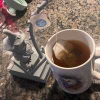 Wizard Owl Tea Crane