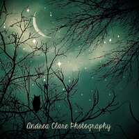 Owl Photograph, Fine Art Photograph, Nature, Moon, Starry Night, Trees, Whimsical, Magical, Surreal,