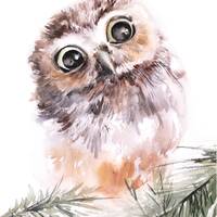 Owl Watercolor Print, Bird Illustration Painting, Cute Little Owl Wall Art, Woodland Wall Decor, Fin