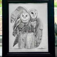 Barn Owl Traditional Drawing - Original Piece (1/1) - Frame included