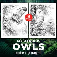 Mysterious owls - 8 coloring designs - Coloring pages printable