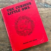 The Curious Little Owl by Frances Ruth Keller Illustrated by Adele Werber and Doris Laslo Vintage Ch