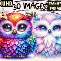 Owls Clipart - 30 PNG Adorable Owl Graphics, Woodland Printables, Instant Digital Download, Unlimite
