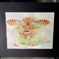 Matted Original Watercolor Owl About to Take Flight