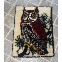 Vintage Completed Hanging Wall Hook And Latch owl Rug 20” X 28” Fun