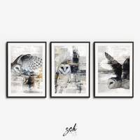 Owl Art Print Set