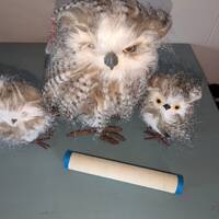 Set of 3 decor handmade owls