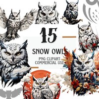 Mystical Snow Owl Clipart, 15 Transparent PNGs, Enchanted Winter Digital Art, Snowy Owl Illustration