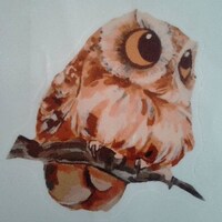 Owl Sticker, Brown Owl Self-adhesive Sticker, 12x12cm