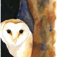 Barn Owl Watercolor - Bird Painting - Owl Art - Fine Art Print