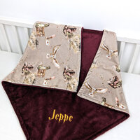 Wizard Owl Minky Baby Blanket, Personalized Magical Nursery Gift