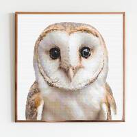 Barn Owl Cross Stitch Sewing Embroidery Pattern Instant DMC Download Bird Farmyard Woodland Nursery