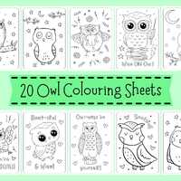 Owl Colouring Sheets - Owl Colouring For Children - Owl Coloring Pages For Kids - Owl Colouring Prin