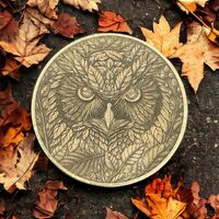 Nature's Wisdom: Brass Coin with Intricate Owl Engraving