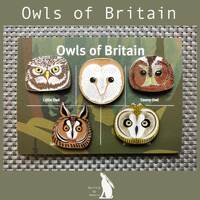 Owls of Britain Complete Collector Set - #1-5 - Enamel Pin Badge - Owls of Britain series