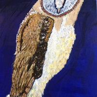 Barn Owl, Original acrylic painting on stretched canvas, 50x75cm. Deep Blue background.