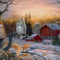 Owl fabric panel,Nightfall Naturescapes Northcott owl fabric panel cotton  fabric  owl winter scene