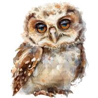 10 Cute Baby Owl Clipart, Fluffy Owl Clipart, Digital Clipart, Watercolor clipart, High Quality PNG/