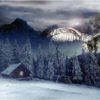 Owl fabric panel,Call of the wild midnight owl Hoffman California winter owl fabric panel cotton  fa