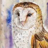 Original Handmade Watercolor Painting of Barn Owl among Trees