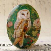 Barn Owl, 40x30mm glass oval cabochon, woodland animal, wisdom bird, handmade in this shop, illustra