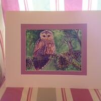 ORIGINAL Watercolor Painting of Barred Owl