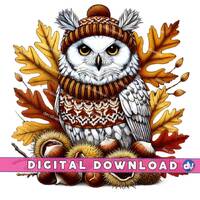 Autumn Owl PNG – Cozy Sweater, Fall Leaves (Digital Download)