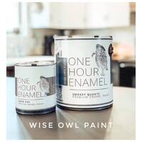 FAST FREE SHIPPING Wise Owl One Hour Enamel Paint: Gallon