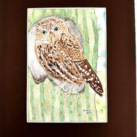 Cactus Pygmy Owl Original Signed Watercolor Painting Art with Dark Brown Mat 8x10