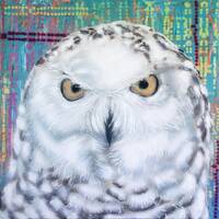 Opinionated snowy owl, an original acrylic painting by Canadian artist Brian Longfield