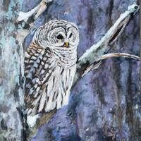 Owl In Snow, Painting of a Barred Owl, Owl Wall Art, Boho Owl Art Painting, Bird Lover Art, Owl Love