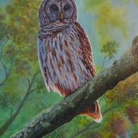 Owl Painting