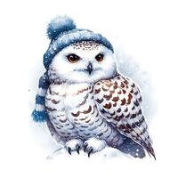 Snowy Owl With Scarf And Beanie On PNG Clipart, White Bird PNG Download, Birds Collection Illustrati