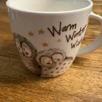 Snowy Owls designed by Alex Clark mug made in England by Queens