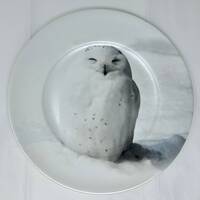 Robert Stanley plate snow snowy owl 10.8" winter white