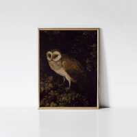 An Owl 1780 by Moses Haughton the Elder Print, Rustic Farmhouse Wall Art, Cottagecore Bird Lover Gif
