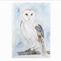 Barn Owl Art Print from Original Watercolour by Susannah Harpham