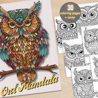 30 Owl Mandala Coloring Book, Printable Stress Relief Patterns Coloring Pages, Mandala Animals Color