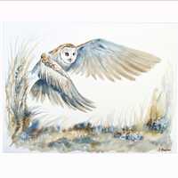 Flying Barn Owl Limited Edition Signed Watercolour Print by Susannah Harpham