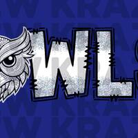 Owls Rhinestone Mascot PNG, Owls Faux Rhinestone Mascot PNG, Owls School Mascot DTF, Owls Girly Masc