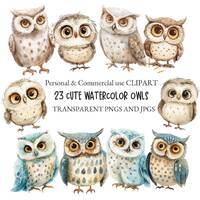 Watercolor Cute Owl Clipart Bird Clipart|Nursery Clipart, Crafts and Scrapbooking|23 PNG and JPG Fil