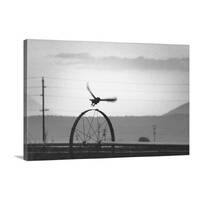 Owl Photography in Black and White on Farm Landscape as Avian Wall Decor