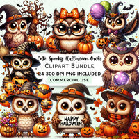 Cute Cartoon Halloween Owls Clipart Bundle, Spooky Bird Stickers, Funny Adorable Pumpkin Animals PNG
