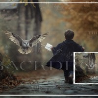 Wizard magic digital backdrop, Wizard Mail Delivery, Owl, Wizard Magic, School of Wizards, Fantasy D