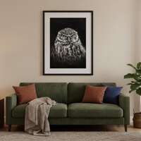 Little Owl Art Print | Charcoal Drawing, Raptor Portrait