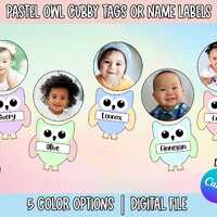 Pastel Owl Cubby Name Tags, Personalized Desk Name Plates, School Name Labels, Colorful Preschool Ra