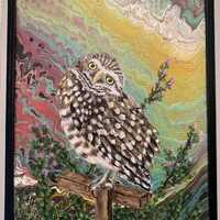 Owl Acrylic Painting - Original 11 x 14 - Framed - Burrowing Owl and flowers - Wild Life - Hand Pain