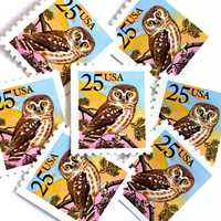 10 Vintage Unused Saw-Whet Owl Mail Stamps / Bird USPS Postage / 25 cents US