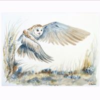 Flying Barn Owl Art Print from Original Watercolour by Susannah Harpham