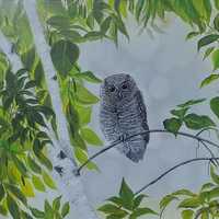 Acrylic painting on canvas , Owl original painting , art wall, tree painting , bird ,  artwork , gif